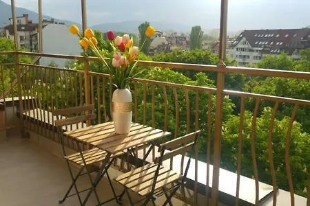 Apartment Center With Amazing View *